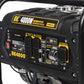 4,800 Watt Generator - BE4800